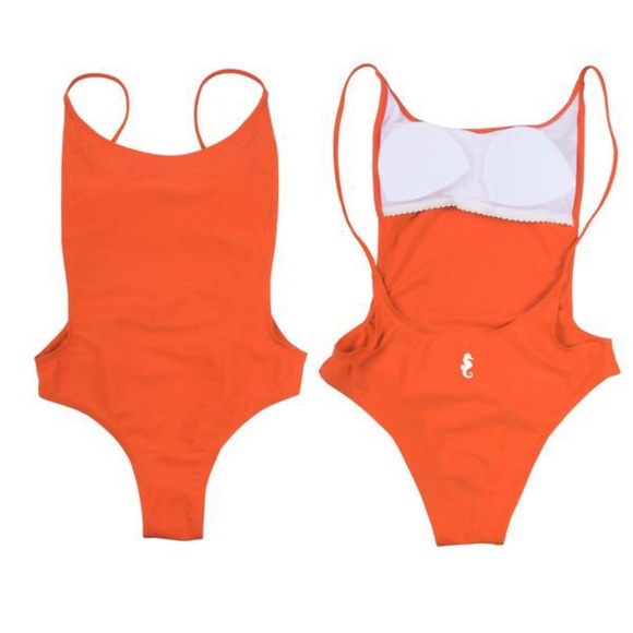 Sunny Co Clothing Other - NWOT Sunny Co Clothing Pamela Swimsuit